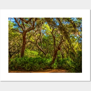 Cumberland Island National Seashore Posters and Art